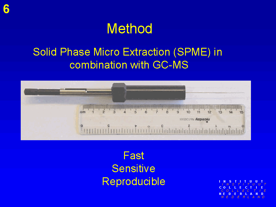 Slide 6