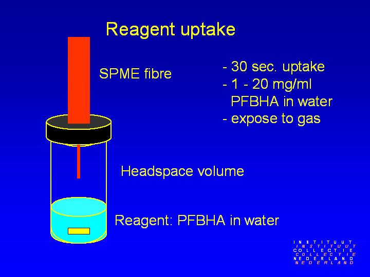 Slide 11