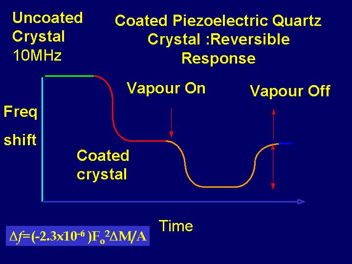Slide 7