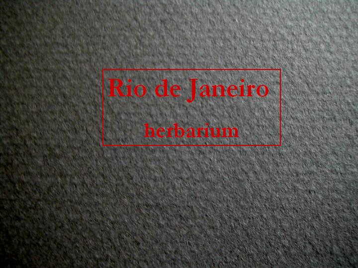 Slide 15