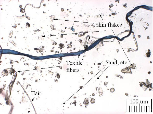 Fig. 3 Dust layer