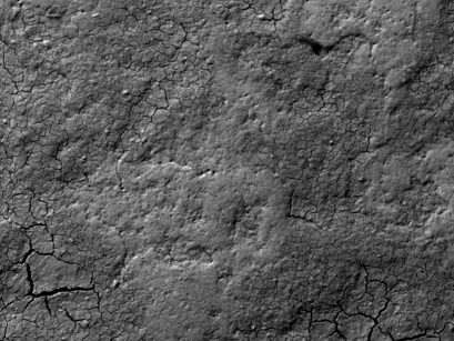 Eggshell 150x SEM image, no salts